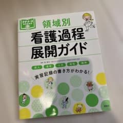 領域別看護過程展開ガイド : 成人 老年 小児 母性 精神のサムネイル