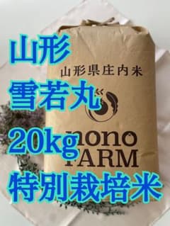 雪若丸 20kg 山形 令和7年 特別栽培米 - メルカリ