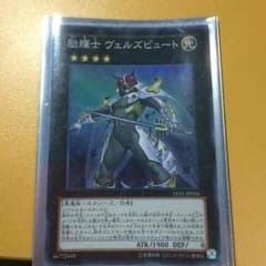 励輝士ヴェルズビュートのサムネイル