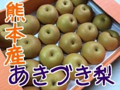 熊本県産 秋月梨 秋のデザートに 秀品のサムネイル