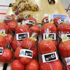 大玉トマト【麗容】約２キロつめつめセット！のサムネイル