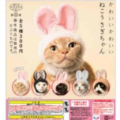 ねこうさぎちゃん ブルーのサムネイル
