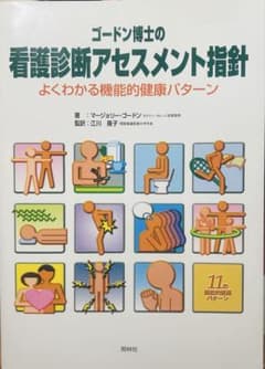 ゴードン博士の看護診断アセスメント指針のサムネイル