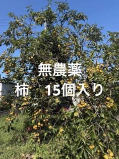 庭で採れた柿　15個入りのサムネイル