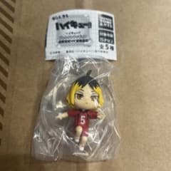 ハイキュー　ぴょんコレ　孤爪研磨のサムネイル