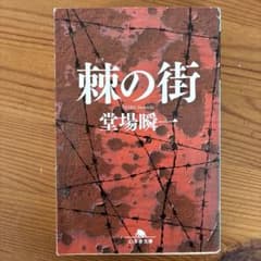 棘の街のサムネイル