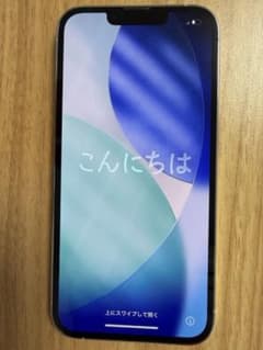 Apple iPhone 13 Pro 본체