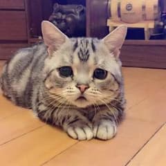 みつこさん専用のサムネイル