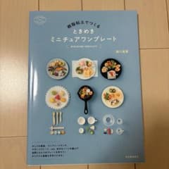 樹脂粘土でつくる ときめきミニチュアワンプレートのサムネイル