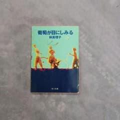 葡萄が目にしみる 林真理子 角川文庫のサムネイル
