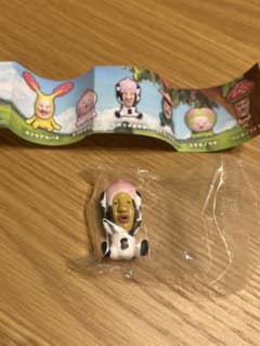 こびとづかんおすわりマスコット　シボリオオチチのサムネイル
