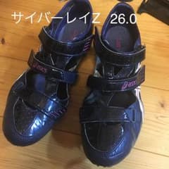 サイバーレイZ 26.0のサムネイル