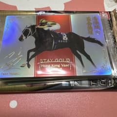 サラブレッドホースコレクション 当たり 第4R ステイゴールド 特別