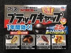 ★新品★アース　ブラックキャップ　12個入りのサムネイル