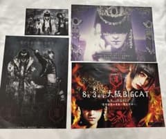 真天地開闢集団-ジグザグ フライヤー 4枚 - メルカリ