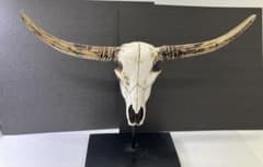 【美品】ロングホーン カウスカル オブジェ スタンド付き 卓上置物 牛 頭蓋骨のサムネイル
