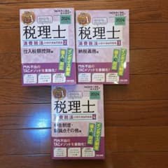 2024年度 みんなが欲しかった！税理士消費税法の教科書&問題集2〜4 セットのサムネイル