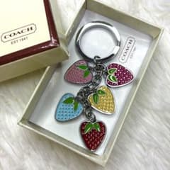 COACH コーチ ストロベリー いちごキーリング マルチカラー バッグ