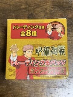 呪術廻戦　トレーディング缶バッジ　カンフーシリーズ　BOX未開封のサムネイル