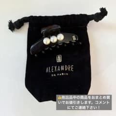 (美品) Alexandre de Paris パール ヘアクリップのサムネイル