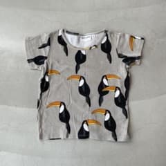 mini rodini オオハシTシャツのサムネイル