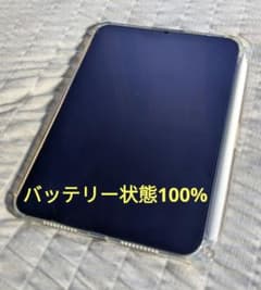 iPad mini 6 バッテリー100%  本体・ケース・ペンセットのサムネイル