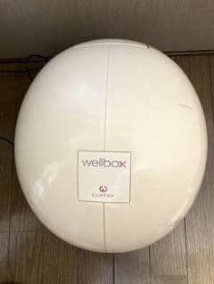 値下げ　家庭用エンダモロジー　weIIbox Wellbox ウェルボックスのサムネイル