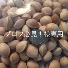 専用 100個のサムネイル