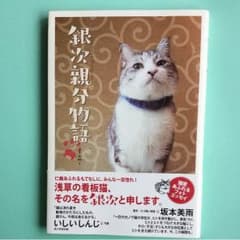 銀次親分物語 = The Story of Ginji Oyabunのサムネイル
