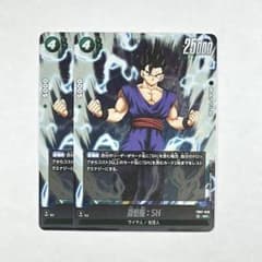 ドラゴンボールカードセット　アドベンチャー　孫悟空　神龍　2枚セット ドラゴンボールZ 金箔 10,000円札神龍と孫悟空、2枚セット激レア