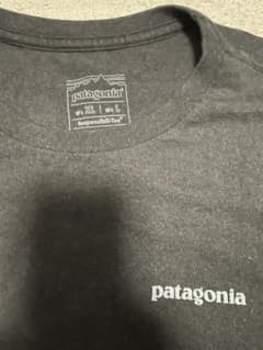 Patagonia Responsibili-Tee ブラック Tシャツのサムネイル