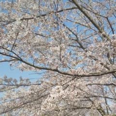 零姫様専用ページ①のサムネイル