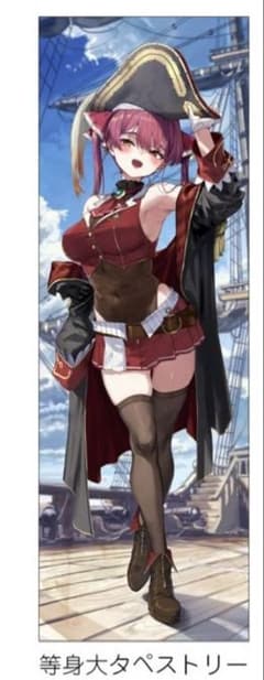 サークルSEASIDE あかさあい 宝鐘マリン 等身大タペストリー c107 あかさあい 宝鐘マリン 等身大タペストリー - メルカリ