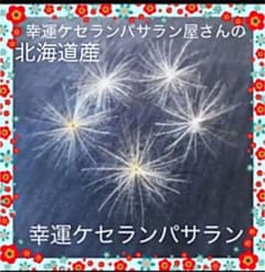 ☆ 大好評 ☆ 金運開運 ケセランパサラン 5個 ☆のサムネイル