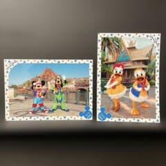 ディズニーランド　スペシャルフォト