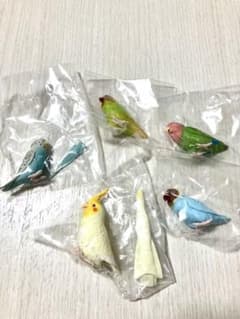 手のりインコ コレクション　5種セットのサムネイル