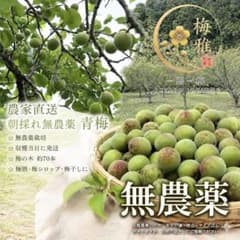⭐︎まんまる様専用⭐︎【18日収穫】青梅 箱込み2Kgのサムネイル