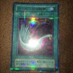 ハーピィの羽根箒のサムネイル