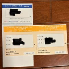 商船三井　フェリーサービス共通クーポン　にっぽん丸　クルーズ優待券セットのサムネイル