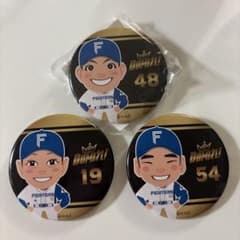北海道日本ハムファイターズ 缶バッジ 3個セットのサムネイル