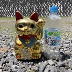 縁起物 招き猫 金色の招き猫 貯金箱 開運 金運 - メルカリ