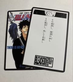 BLEACH ブリーチ 巻頭歌骨牌 30巻 志波海燕 かるた - 2