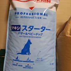 マキシスターターのサムネイル