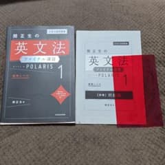 大学入試問題集 関正生の英文法ファイナル演習ポラリス[1 標準レベル]のサムネイル
