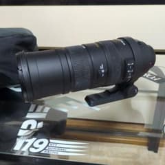 SIGMA 150-500mm F5-6.3 APO HSM ズームレンズのサムネイル