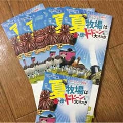 マザー牧場チケット２枚 9月末までのサムネイル