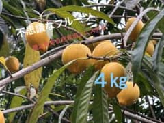 自然栽培カニステル　４㎏のサムネイル