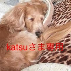 katsuさま専用のサムネイル