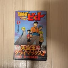 冒険王ビィト 13のサムネイル