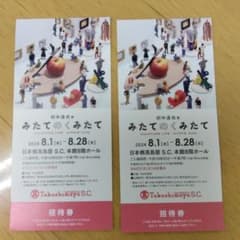 田中達也展　みたてのくみたて　チケット
　みたみたてのくみたてのサムネイル